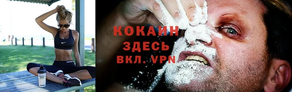 соль ск Белокуриха