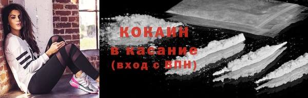 соль ск Белокуриха