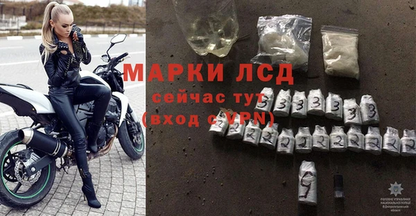 СК Беломорск
