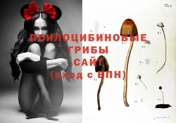 СК Беломорск